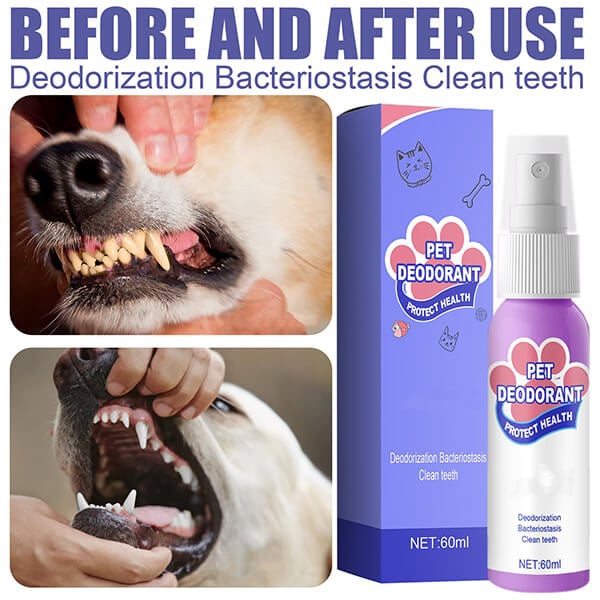 Pet Teeth Macular Bacteria Powerful Harmless Cleaner